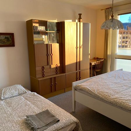 Apartman Pod Studenou Horou Rokytnice nad Jizerou Exteriör bild
